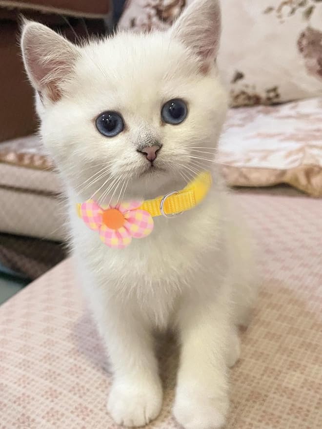 16 PCS Cute Cat Collars Breakaway with Bell for Boy Cats and Girl Cats Gifts (