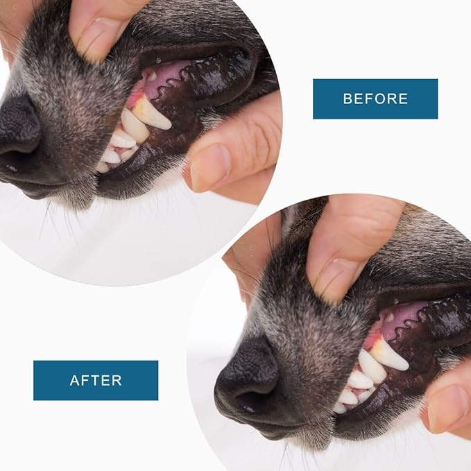 Dog Breath Freshener, 8 oz - Fights Plaque, Tartar &amp; Bad Breath - Gentle Gum Care &amp; pH Balance - Dog Dental Care for Cat and Dog - No-Brush Solution