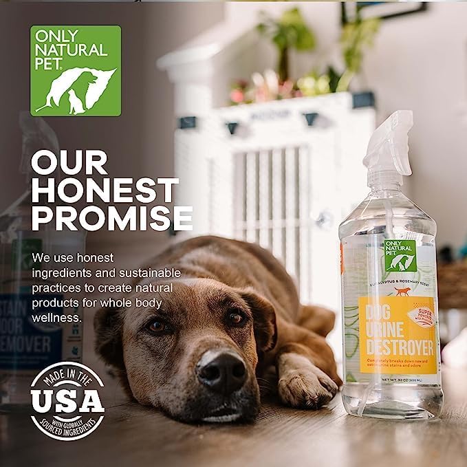 Only Natural Pet Enzyme Powered Stain &amp; Odor Eliminator - Professional Pet Urine Pee Cleaner Deodorizer for Dogs - Hardwood Floors Carpets Upholstery - Eucalyptus &amp; Rosemary Scent - 32Floz - 2 Pack