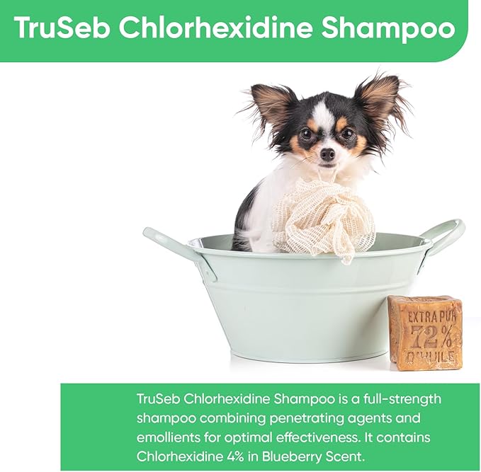 Truseb Topical Chlorhexidine 4% Shampoo for Dogs, Cats &amp; Horses (12 oz)- with Aloe for Cleansing (Chlorhexidine 4% Shampoo, 12 oz)