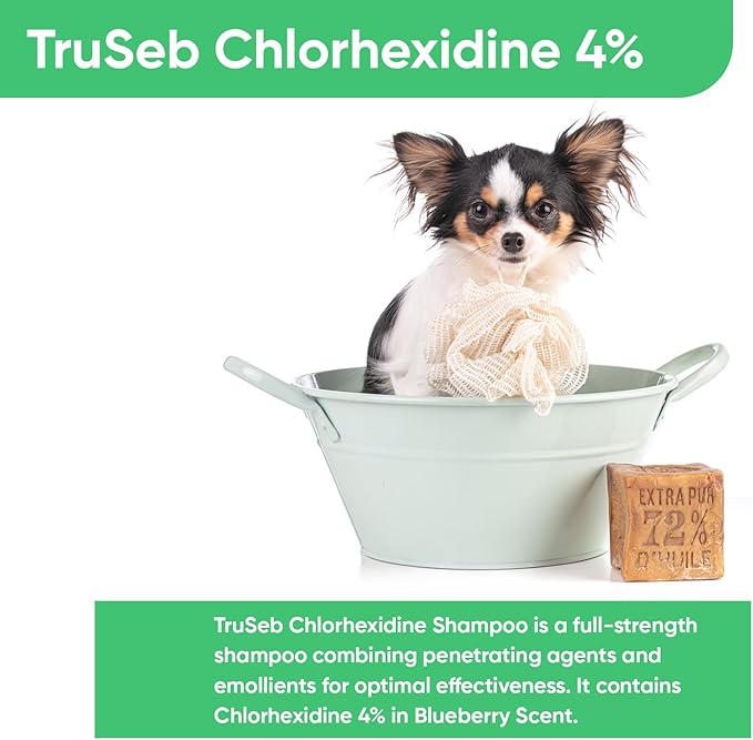 Topical Chlorhexidine 4% Shampoo for Dogs, Cats &amp; Horses (Gallon)- with Aloe for Cleansing (USA) (Chlorhexidine 4% Shampoo, 1 Gallon)