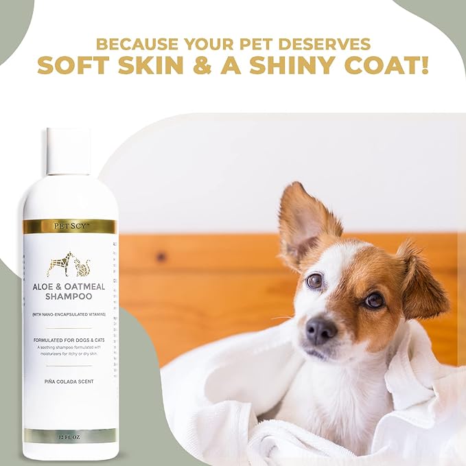 PetScy - Aloe &amp; Oatmeal Shampoo for Dogs and Cats, Moisturizing Pet Shampoo for Skin Relief, All-Natural, Soap-Free &amp; Gentle, Pina Colada Scent, 12 Oz