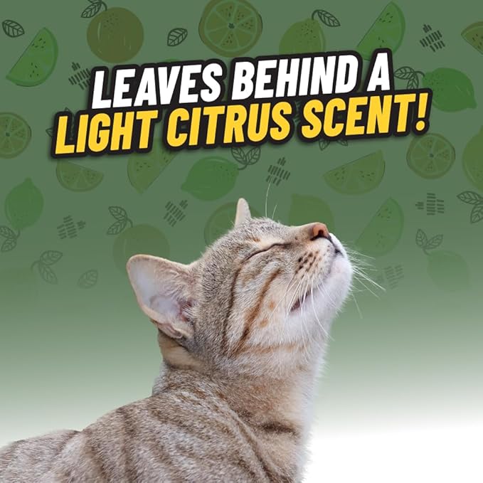 Ghosted Pet Odor Eliminator, Refresh Your Home, Car, Office, &amp; More, from Chemical Guys (32 Fl Oz) - Fresh Citrus Scent - PCS10232