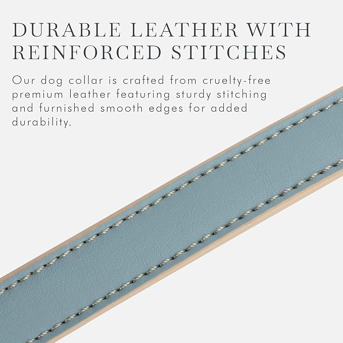 Cupertino Dog Collars, Harnesses &amp; Leashes Made from Vegan Leather with Dog Tracker Device Holder Adjustable Dog Collar - Color Blue, Large