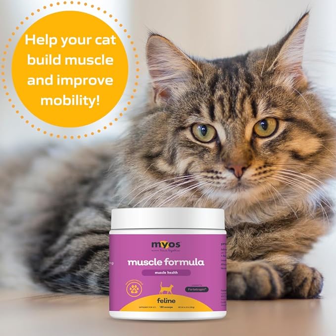 Powered by Fortetropin for Senior Cats - Aids Weight Gain, Muscle Growth &amp; Mobility Support - Natural, Cat Nutritional Supplement - 180 Servings