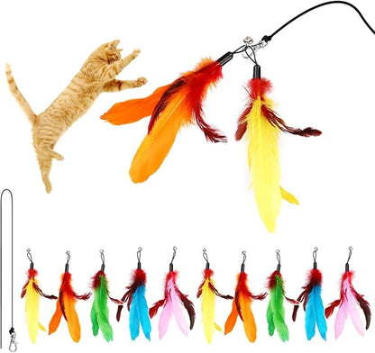 11PCS Cat Feather Toys Refills, 10PCS Feathers and 1PC String, Interactive Cat Wand Toy Replacement for Bored Indoor Adult Cats &amp; Kittens