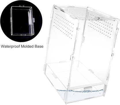 NANEEZOO Micro Habitat Terrariums with Locking Latch, 8x6x12 Inches Acrylic Reptile Tank with Water-tight Base, Arboreal Enclosure for Tarantula Jumping Spiders Small Tree Dwelling Reptiles (Arboreal)