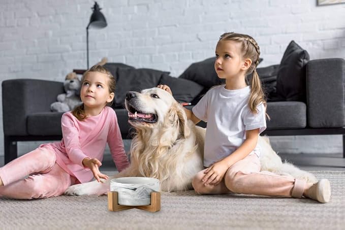 Ceramic Pet Bowls with Stand - Dog Cat Water Bowl and Food Dish -Heavy Weighted &amp; No Tip Over Pet Comfort Feeding Bowls -Dishwasher Safe &amp; Easy to Clean