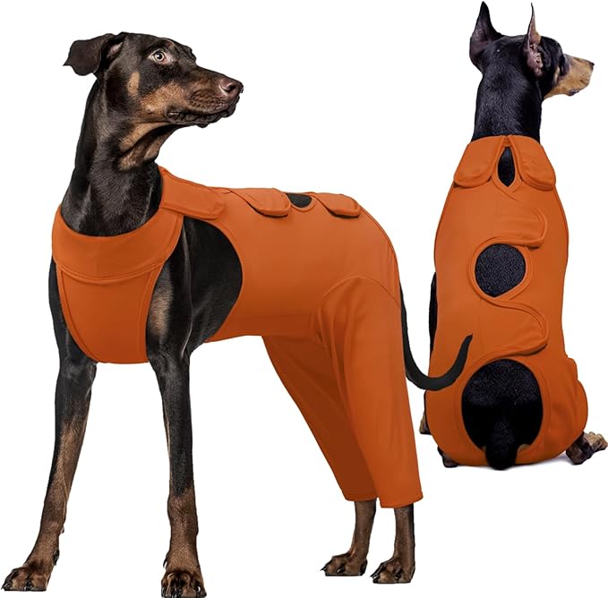 Kuoser Dog Recovery Suit for Back Legs &amp; Thigh Wounds - Brown XL
