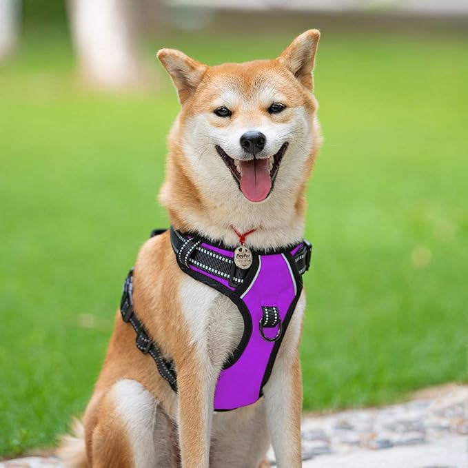 PoyPet No Pull Dog Harness, Reflective Comfortable Vest Harness with Front &amp; Back 2 Leash Attachments and Easy Control Handle Adjustable Soft Padded Pet Vest for Small to Large Dogs (Purple,M)