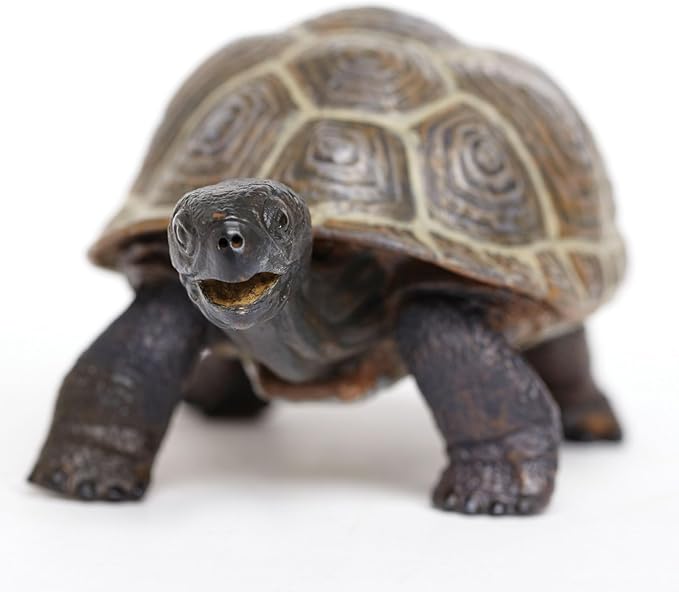 Safari Ltd. Tortoise Baby Figurine - Detailed 5.5" Plastic Model Figure - Fun Educational Play Toy for Boys, Girls &amp; Kids Ages 18M+