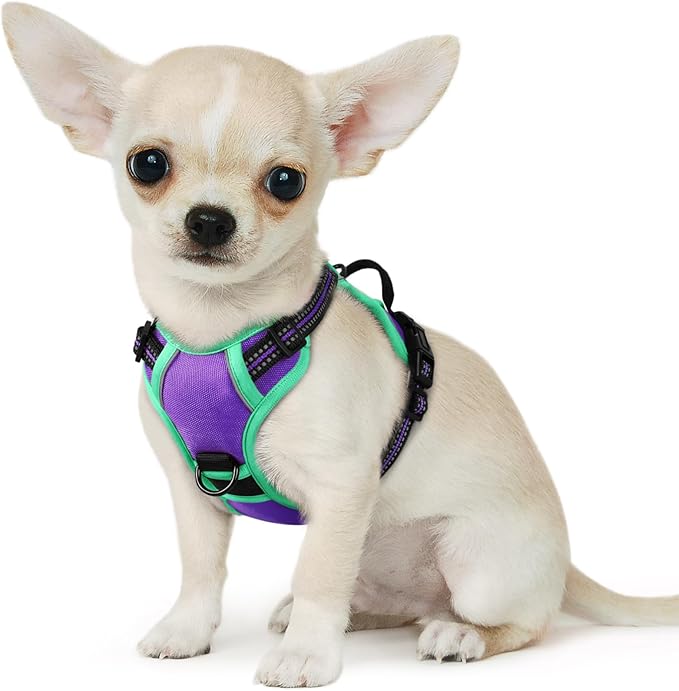 Eagloo Small Dog Harness No Pull, Service Vest with Reflective Strips and Control Handle, Adjustable and Comfortable for Walking, No Choke Pet Harness with 2 Metal Rings, Purple &amp; Green, XS