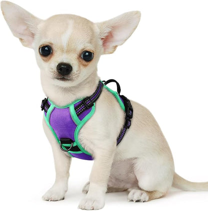 Eagloo Small Dog Harness No Pull, Service Vest with Reflective Strips and Control Handle, Adjustable and Comfortable for Walking, No Choke Pet Harness with 2 Metal Rings, Purple &amp; Green, XS