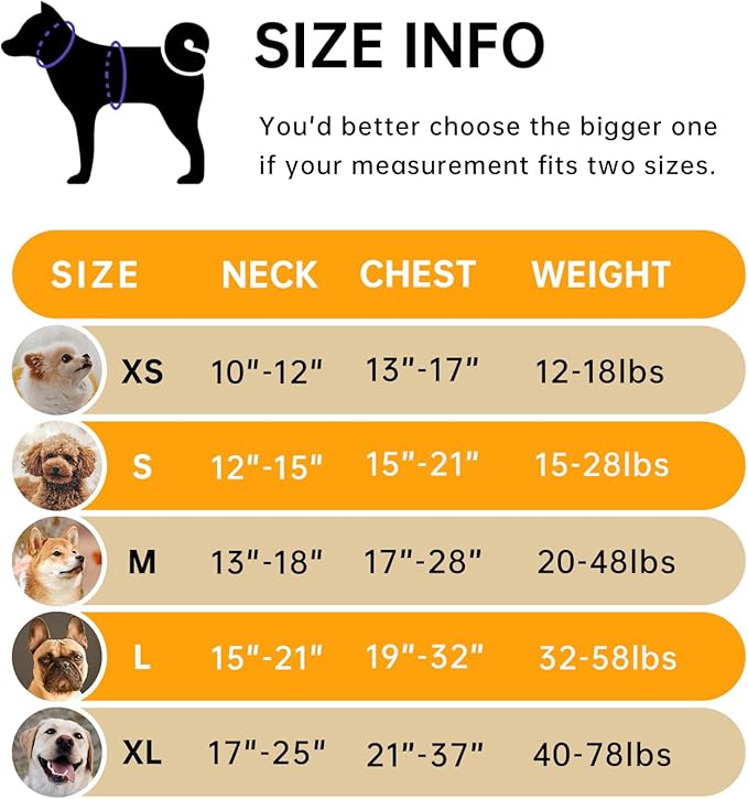 IVY&amp;LANE No Pull Dog Harness for Large Dogs, Dog Vest Harness with Leash, Safety Belt and Storage Strap, Fully Adjustable Harness, 360° Reflective Strip, Soft Handle (Orange, L)