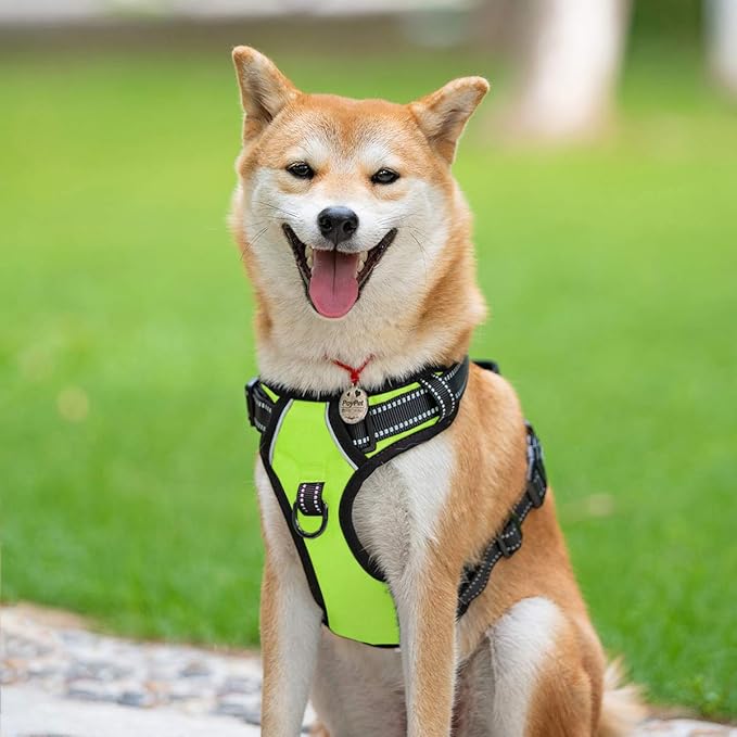 PoyPet No Pull Dog Harness, Reflective Comfortable Vest Harness with Front &amp; Back 2 Leash Attachments and Easy Control Handle Adjustable Soft Padded Pet Vest for Small to Large Dogs (Green,XL)