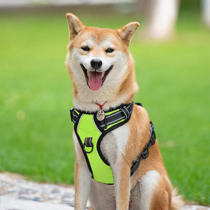 PoyPet No Pull Dog Harness, Reflective Comfortable Vest Harness with Front &amp; Back 2 Leash Attachments and Easy Control Handle Adjustable Soft Padded Pet Vest for Small to Large Dogs (Green,XL)