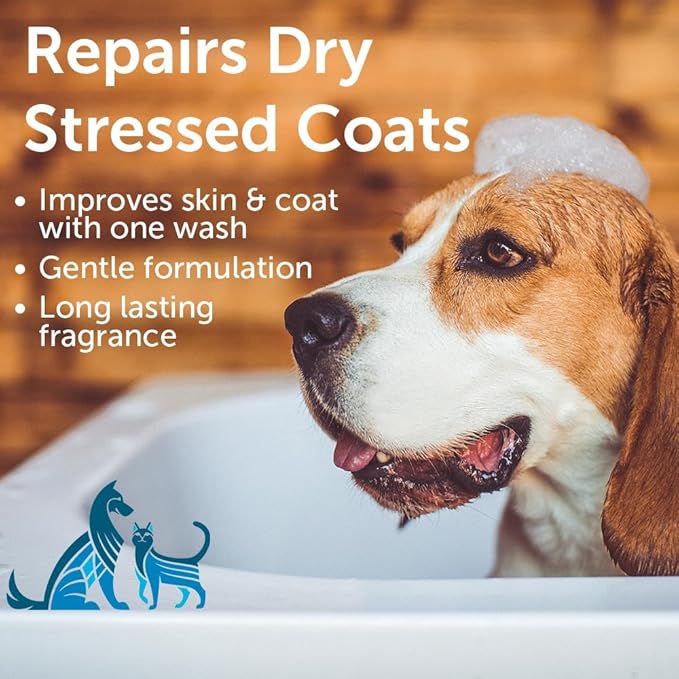Nootie - Pet Shampoo for Sensitive Skin - Revitalizes Dry Skin &amp; Coat - Natural Ingredients - Gentle Dog Shampoo - Cleans &amp; Conditions