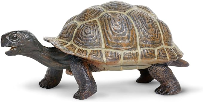 Safari Ltd. Tortoise Baby Figurine - Detailed 5.5" Plastic Model Figure - Fun Educational Play Toy for Boys, Girls &amp; Kids Ages 18M+