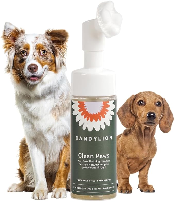 Dandylion Clean Paws | No-Rinse Dog Paw Cleaner &amp; Puppy Paw Washer | Gentle, Fragrance-Free, pH Balanced Foaming Cleanser with Silicone Bristle Brush | Safe for All Dogs | 5 fl oz
