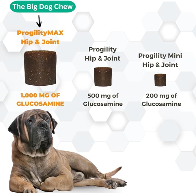 Nootie ProgilityMAX Hip &amp; Joint Supplement for Large Dogs, Maximum Strength Dog Joint Support with Eggshell Membrane, Glucosamine and Chondroitin, 60 Count