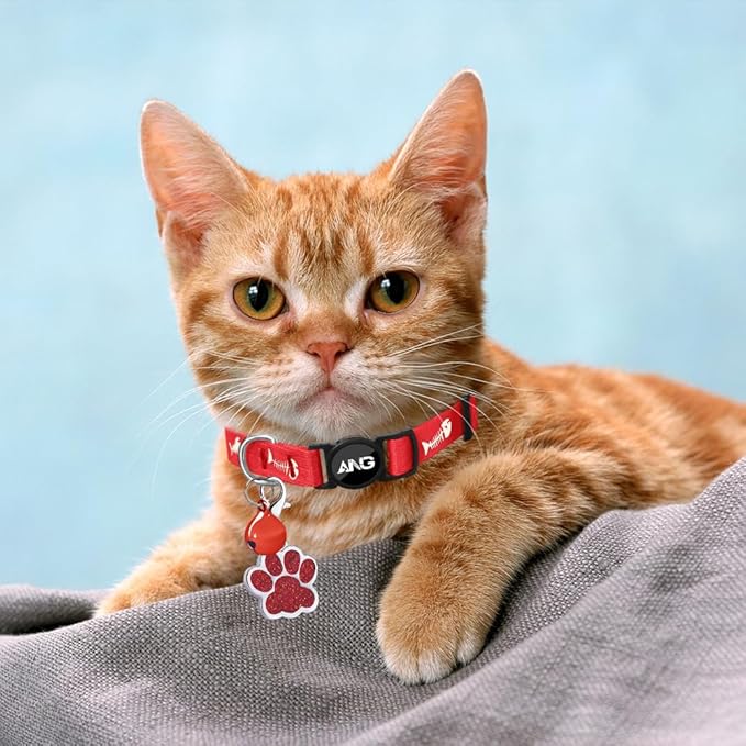 Personalized Breakaway Cat Collars Glow-in-The-Dark with ID Tag, Bell - Safety Quick - Release, Customizable for Female Male Kittens &amp; Cats (Red)