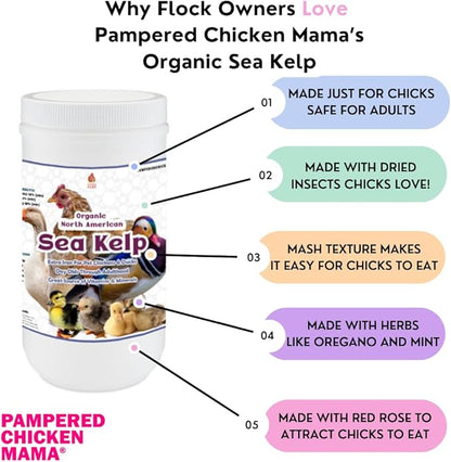 Organic Kelp for Chickens &amp; Duck Feed (5 Pound): Chicken Vitamins | Chicken Supplements | Vitamins for Chickens | Pampered Chicken Mama