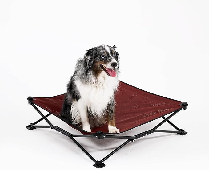 Coolaroo On-The-Go Elevated Dog Bed - Foldable Pop-Up Travel Dog Bed with Breathable, Moisture-Resistant Fabric, Carry Bag Included, Lightweight &amp; Portable, Brick, Medium