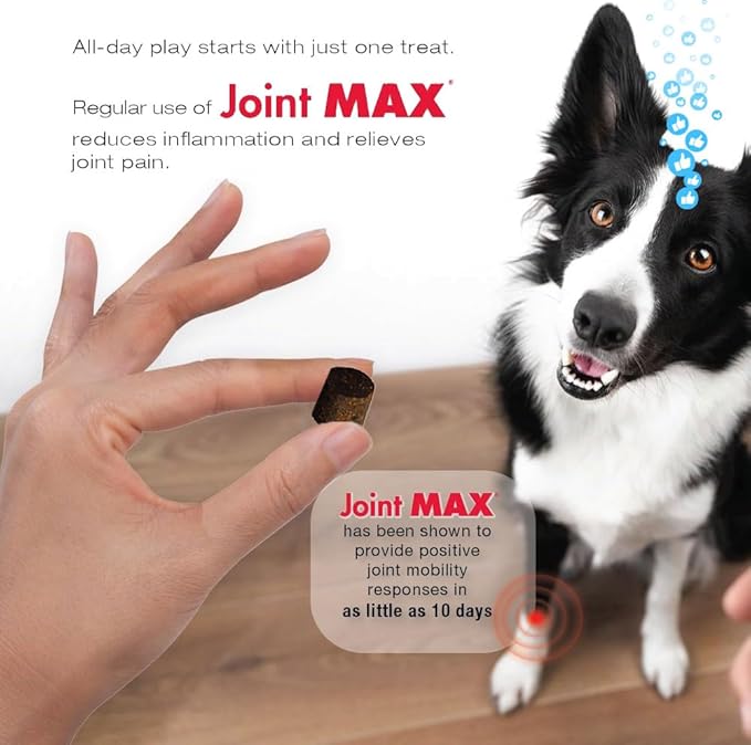 TS Joint Supplement Vet Formulated Pain &amp; Inflammation Relief Treats Hip Dysplasia &amp; Arthritis, Glucosamine, Chondroitin, Turmeric, MSM, HA, Creatine, Omega 3 EPA + DHA.120 Soft Chews