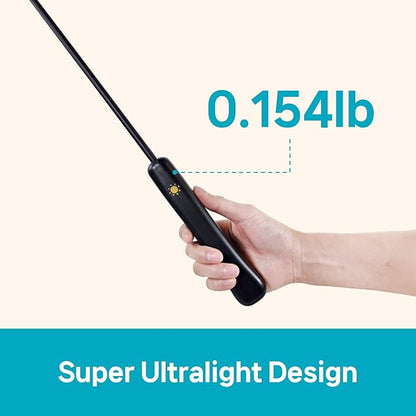 THE WAYS Lumiwhisker Cat Toys for Indoor Cats, LED Light Wand Toy