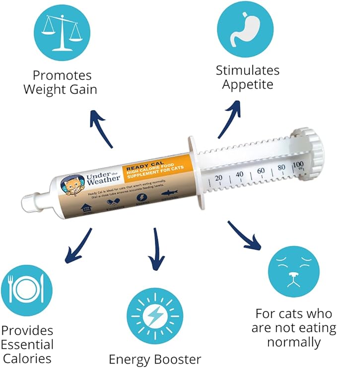 Under The Weather Pet | Ready Cal for Cats 100cc | High Calorie Supplement | Cat Weight Gainer and High Calorie Booster | 10 Vitamins, 7 Minerals &amp; Omega Fatty Acids (for Cats 100cc)