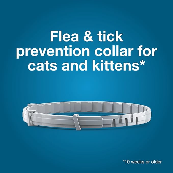 Seresto Cat Vet-Recommended Flea &amp; Tick Treatment &amp; Prevention Collar for Cats | 8 Months Protection