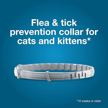 Seresto Cat Vet-Recommended Flea &amp; Tick Treatment &amp; Prevention Collar for Cats | 8 Months Protection