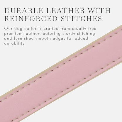 Cupertino Dog Collars, Harnesses &amp; Leashes Made from Vegan Leather with Dog Tracker Device Holder Adjustable Dog Collar (Large, Pink)