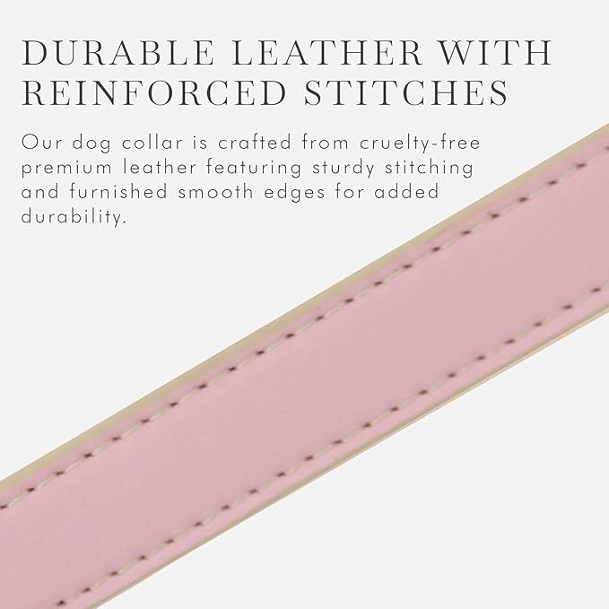 Cupertino Dog Collars, Harnesses &amp; Leashes Made from Vegan Leather with Dog Tracker Device Holder Adjustable Dog Collar (Medium, Pink)