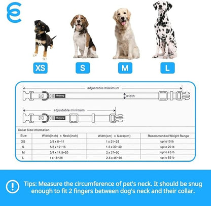 Blueberry Pet Essentials Medium Dog Collar in Black | Adjustable &amp; Eco-Friendly Durable Nylon Strap | Classic Collar for Medium Dogs, Boy &amp; Girl Pets