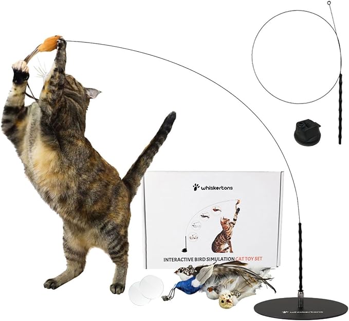 Interactive Bird Simulation Cat Toy Set, Interactive Cat Toy for Indoor Cats, Cat Feather Toy, Suction Cup, Weighted Base, 5 Replacement Birds, Feathers &amp; Bells, Realistic Bird Impression