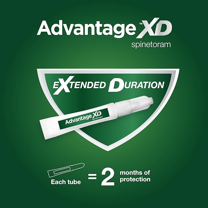 Advantage XD Small Cat Flea Prevention &amp; Treatment For Cats 1.8-9lbs. | 2-Topical Doses, 2-Months of Protection Per Dose