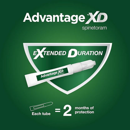 Advantage XD Small Cat Flea Prevention &amp; Treatment For Cats 1.8-9lbs. | 2-Topical Doses, 2-Months of Protection Per Dose