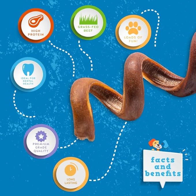 Jack&amp;Pup Bully Springs for Dogs | 7" Spiral Bully Sticks for Dogs | Long Lasting, Stimulating, Odor Free Bully Sticks (8 Ct)