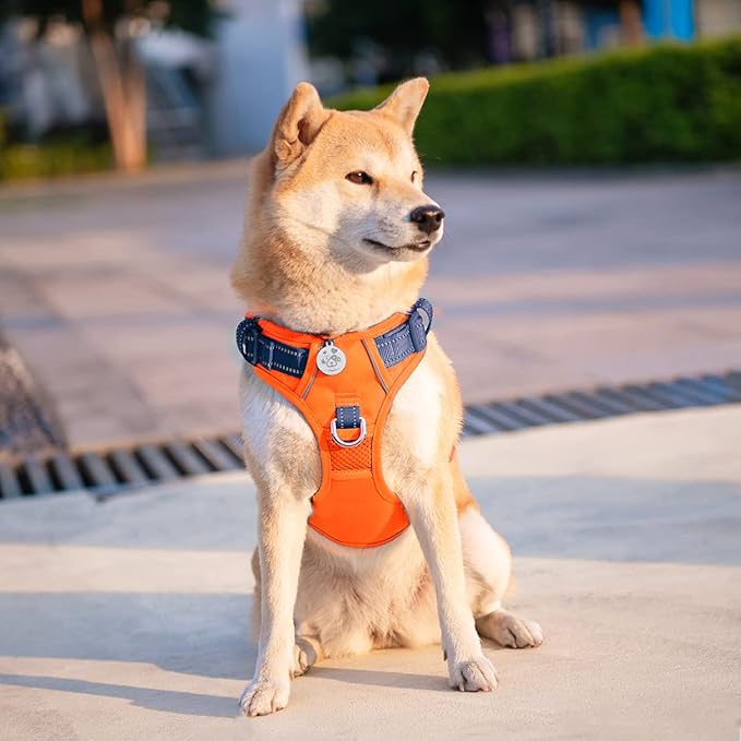 PHOEPET No Pull Dog Harness, Unique Colors Reflective Adjustable Dog Vest, with Soft Training Handle Metal Clips for Small Medium Large Dogs (Orange Base &amp; Blue Straps,M)