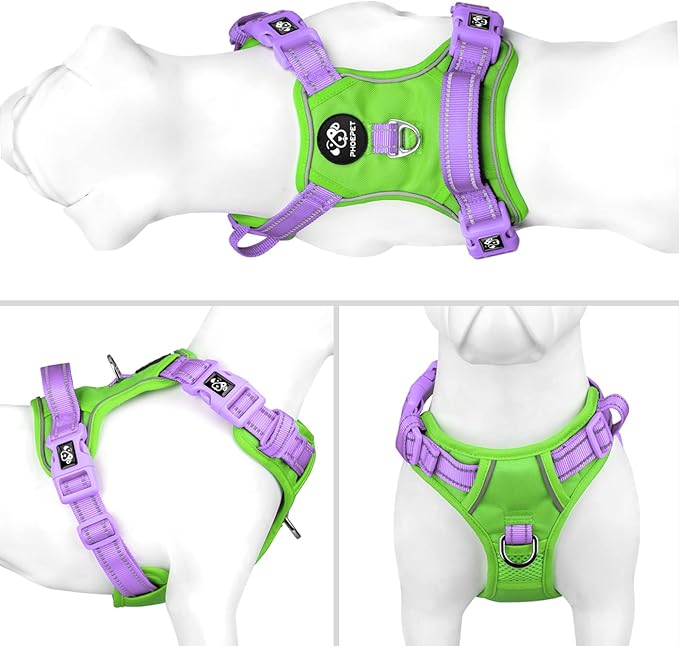 PHOEPET No Pull Dog Harness, Unique Colors Reflective Adjustable Dog Vest, with Soft Training Handle Metal Clips for Small Medium Large Dogs (Green Base &amp; Purple Straps,L)