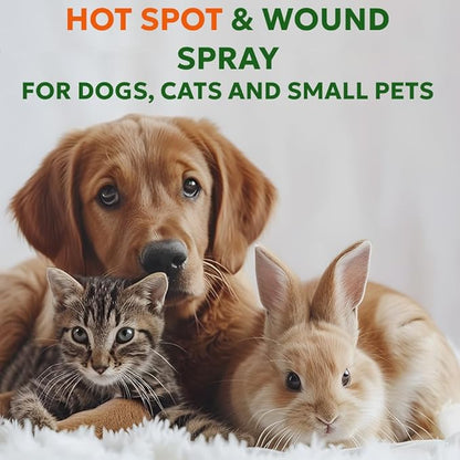 Forticept Hot Spot Spray for Dogs Cats &amp; Horses, Itch Relief Wound Cleanser with Aloe Vera, 8 oz
