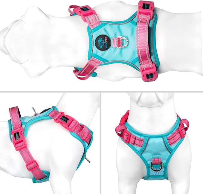 PHOEPET No Pull Dog Harness, Unique Colors Reflective Adjustable Dog Vest, with Soft Training Handle Metal Clips for Small Medium Large Dogs (Mint Green Base &amp; Pink Straps,XS)