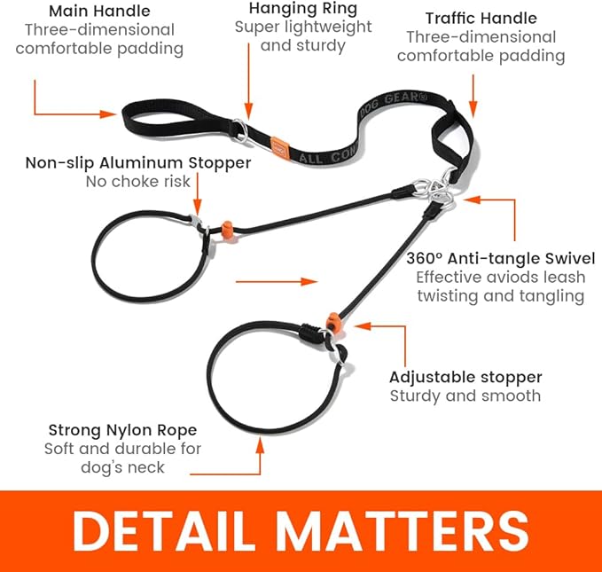 Howgo Double Slip Leash Slip Lead with Two Handles| Dual Dog Slip Lead for 2 Dogs,360° Swivel No Tangle | Dog Training Collar | Double Clip Leash Coupler and Splitter (Multicolor, 6FT)