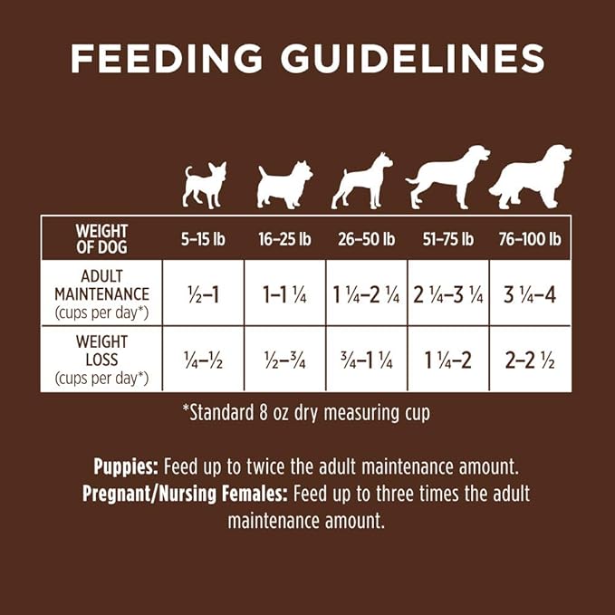 Original Chicken Dry Dog Food, 4 lb. Bag