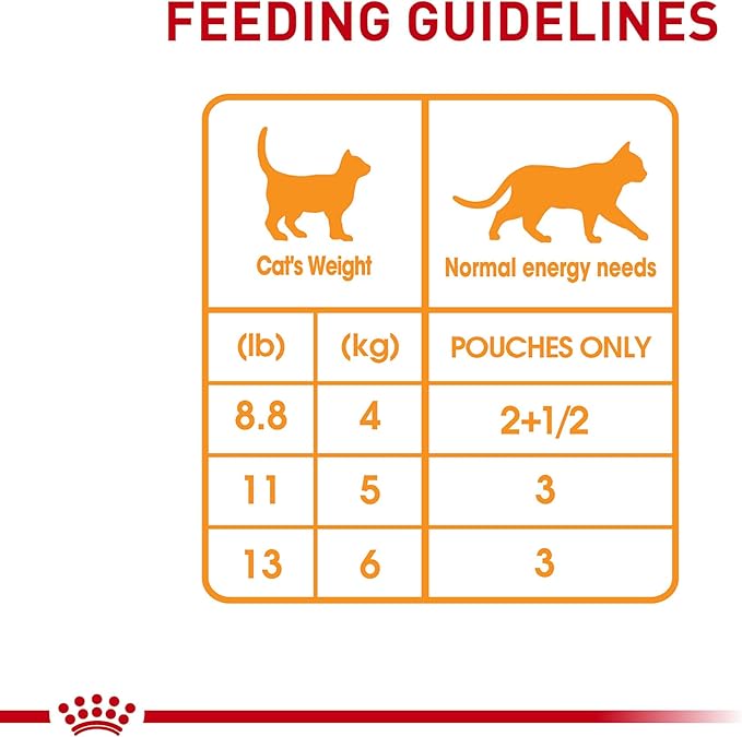 Royal Canin Hair &amp; Skin Care Chunks in Gravy Wet Cat Food Pouch, 3 oz pouch (12-count)