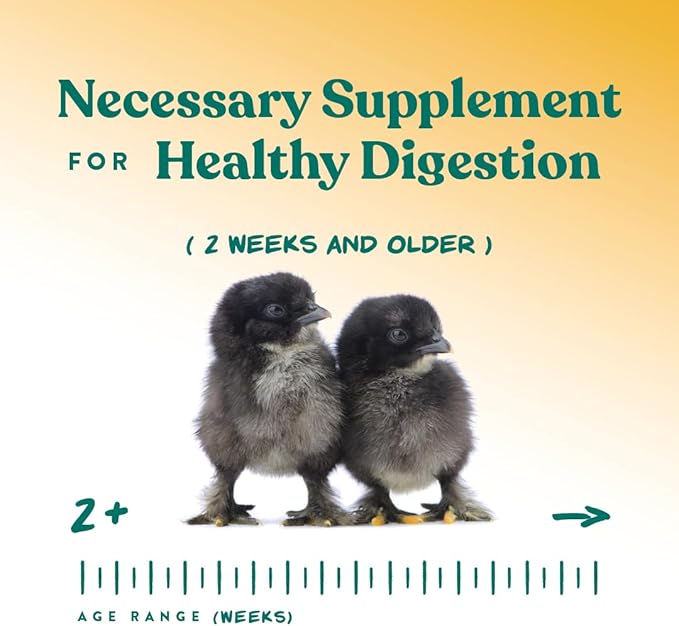 Manna Pro Chick Grit Digestive Supplement for Young Growing Poultry &amp; Bantam Breeds, No Artificial Ingredients or Preservatives, Natural Supplement with Insoluble Crushed Granite, 5 lbs