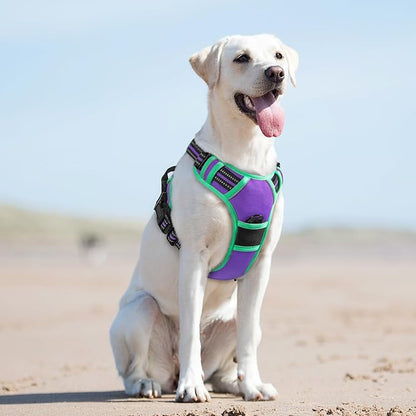 Eagloo Dog Harness for Large Dogs, No Pull Service Vest with Reflective Strips and Control Handle, Adjustable and Comfortable for Walking, No Choke Pet Harness with 2 Metal Rings, Purple &amp; Green, L