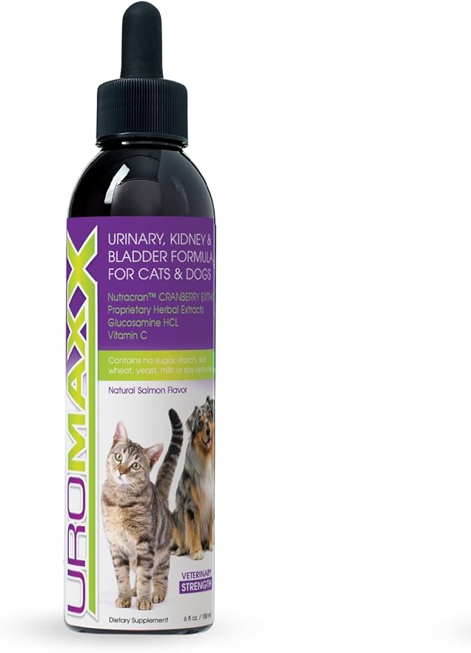 Cat &amp; Dog Urinary Tract Treatment, Bladder &amp; Kidney Support for Dogs and Cats, Powerful Yet Gentle Pet Care, with Liquid Cranberry &amp; Glucosamine, Salmon Flavor, 6 oz Bottle, 1 Pack