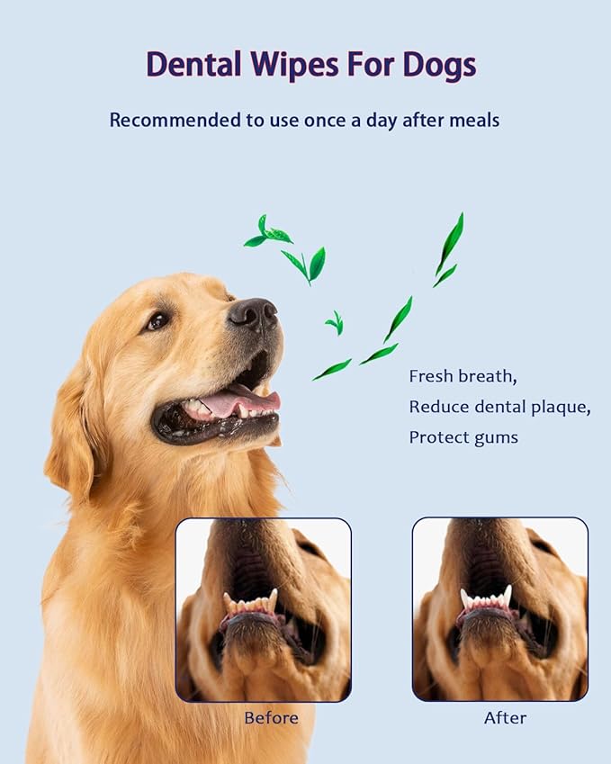 Dog Dental Wipes – Pet Teeth Cleaning Finger Pads for Dogs &amp; Cats, 50 Count – Remove Plaque &amp; Tartar, Freshen Breath, Easy Oral Care, Tea Polyphenol Formula